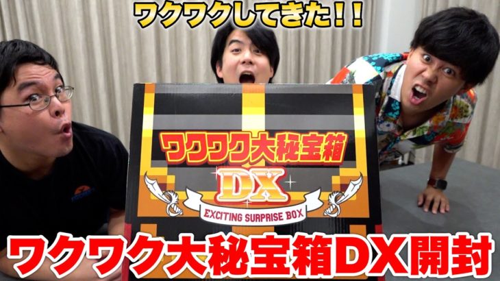 ドンキに売ってたワクワク大秘宝箱DX開けたらワクワクが止まらなすぎた！？！？