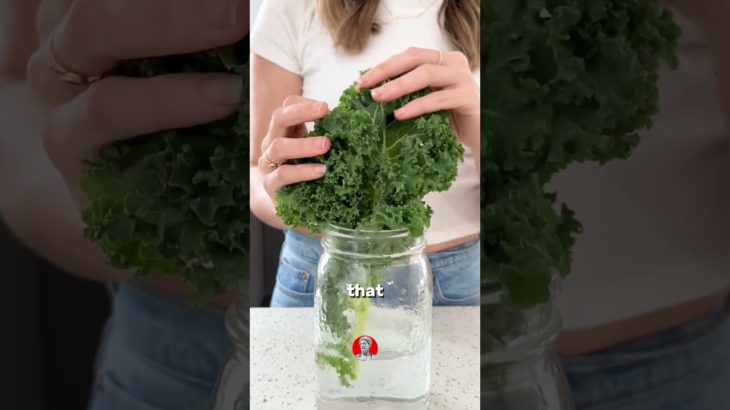 Evander Holyfield’s Peak Condition Diet.