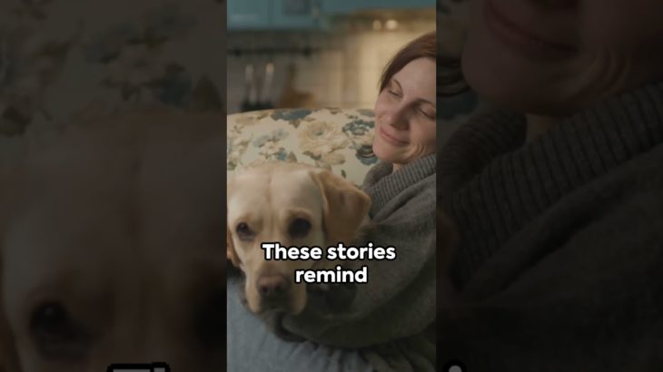 “He Was More Than Just a Pet 💔🐾” #motivation #petloss #shorts