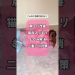 【産後ママ向けダイエット】体の排水溝に効く！年子ママが痩せるコツを発信中📍Instagramはこちら▼https://www.instagram.com/chun.diet  #産後ダイエット