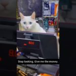 Interesting pet videos! #cat #dog #pets #music #meme #funny