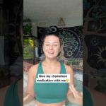 Not a happy boy🙂 #reptiles #chameleon #livszoo #pets #lizard #cutepets