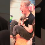 Puppy surprise #dog #funny #gift #doglove #pets #puppy #surprise