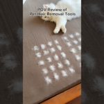 Review of Pet Hair Removal Tools #pethairremoval #petproducts #fyp