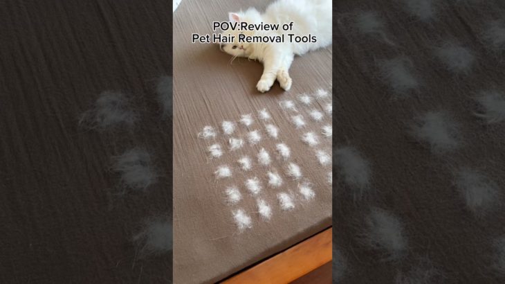 Review of Pet Hair Removal Tools #pethairremoval #petproducts #fyp