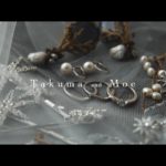 Same Day Edit / Sample