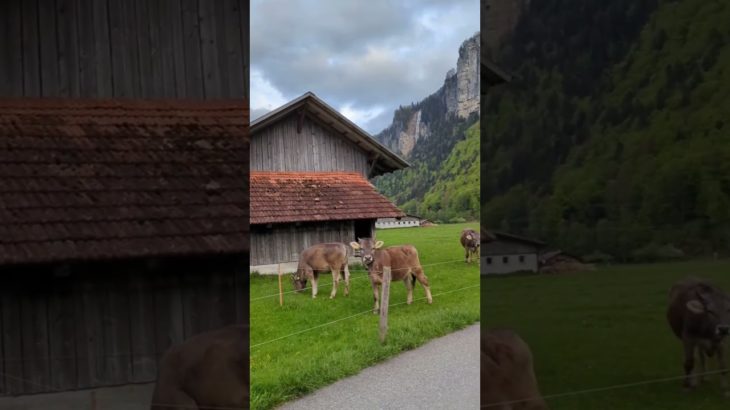 Switzerland Nature Beauty 🌄✨ | Relaxing Visuals