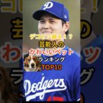 デコピン越え!?芸能人のかわいいペットランキングTOP10