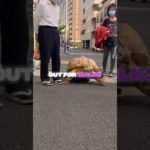 The Cutest Pet Ever #shorts