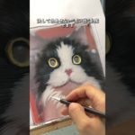 顧客の写真VS私が描いたペットの絵🎨 #custompetportrait #pets #portraitfeed #furbaby #cute