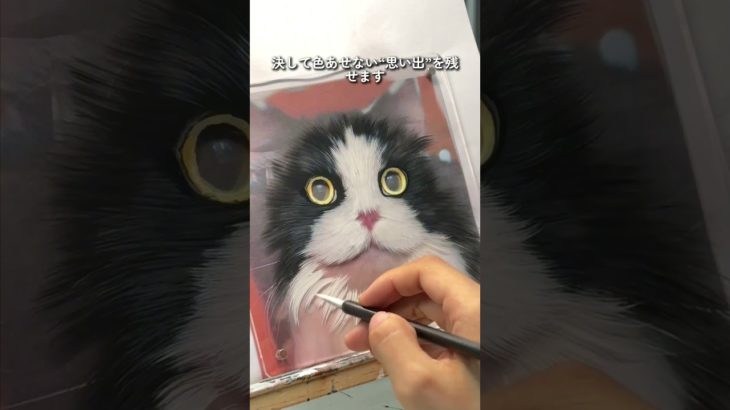 顧客の写真VS私が描いたペットの絵🎨 #custompetportrait #pets #portraitfeed #furbaby #cute