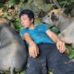 Vietnamese man adopts a strange animal and always loves and cares for his pet