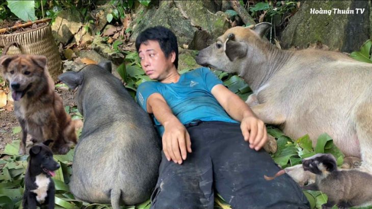 Vietnamese man adopts a strange animal and always loves and cares for his pet