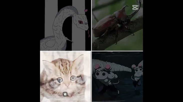 みんなは何のペット飼ってる？ #demonslayer #鬼滅の刃