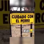 #funnydogs#cute#doglover#doglife#cure#dogshorts#pet#doglife#dogshorts