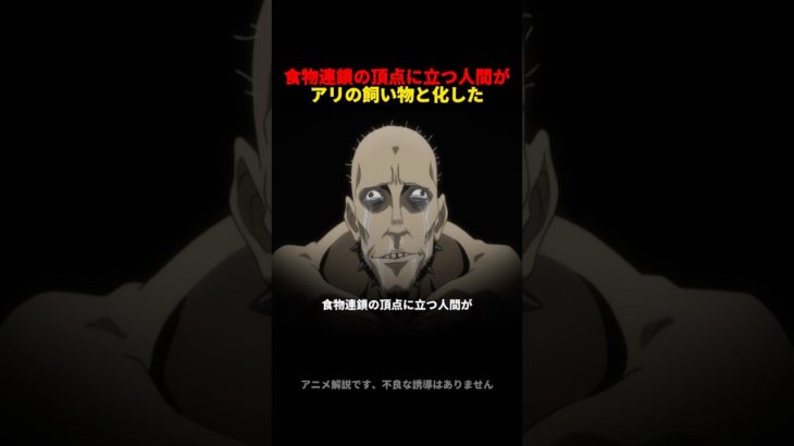 食物連鎖の頂点にいる人間が、キメラアントのペットになってしまった #hunterxhunter #anime #アニメ