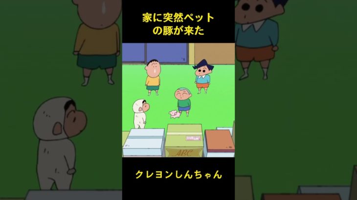 家に突然ペットの豚が来た #music #クレヨンしんちゃん #アニメ #面白い #コント #雑学 #anime #おもしろ