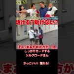 しっかりカードするシルクロードさんかっこよすぎ！憧れる！【part1】#フィッシャーズ#シルクロード さん