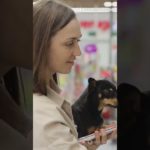 pet em risco: chocolate, cebola (crua/cozida/pó), uvas e passas, massa crua de pão com fermento