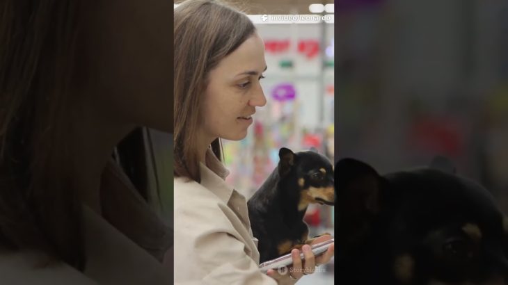 pet em risco: chocolate, cebola (crua/cozida/pó), uvas e passas, massa crua de pão com fermento