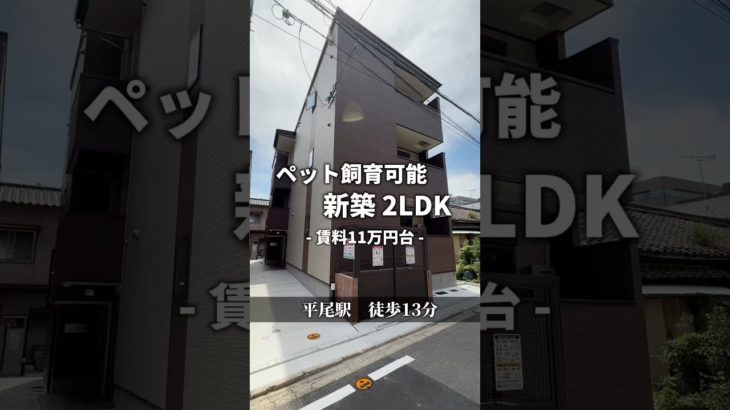 ペットと幸せな生活待っています!!ファミリーさん必見↓↓↓ #あたりまえ不動産 #不動産#ルームツアー#福岡#shorts #shorts