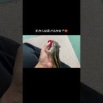 トマトはお気に入りのようです！#ペット #シマリス #リス #動物 #ペットの暮らし #シマリスのいる生活 #ペットのいる暮らし #リスのいる生活 #リスのある暮らし #小動物