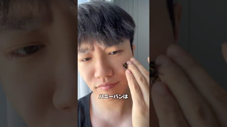 蜂がペット？！😳