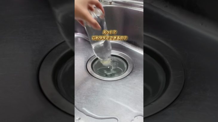 【神掃除】排水口にペットボトル　#キッチン掃除　#排水溝
