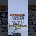 毎日更新！髭犬ダイエット部です４３５回|*･ω･)ﾉチャンネル登録、好評価お願いします！ #ダイエット#雑学 #女性におすすめ#腰痛