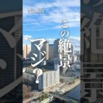 港区の理想のお部屋がこのお家賃　# #ペット可物件 #ペット可賃貸 #ペット可#ルームツアー #東京ペット可賃貸 #東京ペット可物件 #ペット共生マンション #港区賃貸  #品川駅