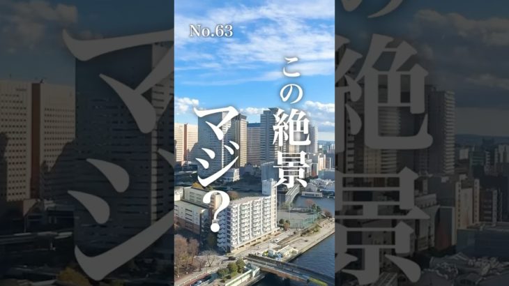 港区の理想のお部屋がこのお家賃　# #ペット可物件 #ペット可賃貸 #ペット可#ルームツアー #東京ペット可賃貸 #東京ペット可物件 #ペット共生マンション #港区賃貸  #品川駅