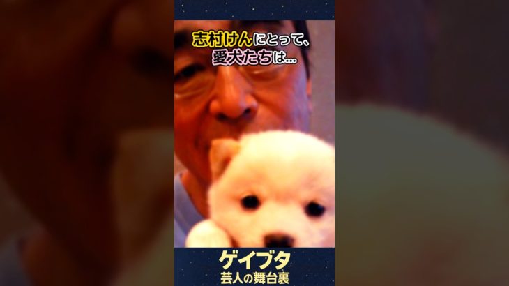 【志村けんと愛犬殿】
