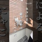 ネコによる猫のためのにゃこハウス#ペット可賃貸 #ペット可物件 #東京ペット可賃貸 #東京ペット可物件 #賃貸 #ルームツアー  #葛西駅