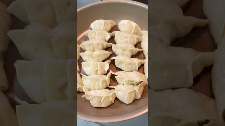 ダイエット中でも餃子が食べたくなったら　#ダイエット #料理