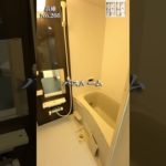 兵庫県でペット可のお部屋探しは！わんにゃん不動産❤️ #ペット可賃貸 #兵庫ペット可賃貸 #賃貸