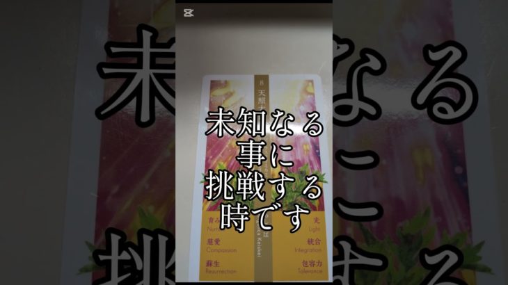 天照大御神　今日の１枚　 #自分改革 #ペットの気持ち #癒やし #霊視#透視#神社参拝 #遠隔参拝 #開運 #金運アップ