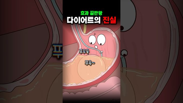 효과 끝판왕 다이어트의 진실