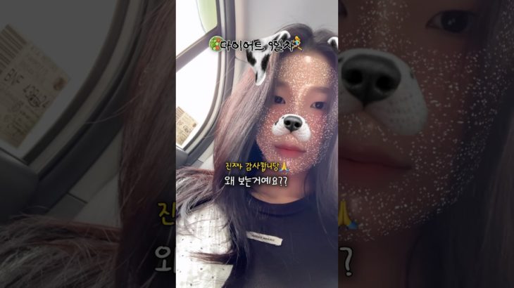 다이어트 브이로그 재밌나용?? (말만 다이어트 하는 거 같긴 한데•••🤥)