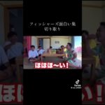 フィッシャーズの面白い集切り取り