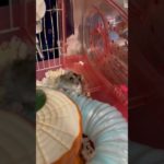 ペット達に、会いに行った。