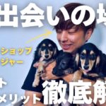 【質問受け付けます】元大手ペットショップマネージャー、現ブリーダーが答えます