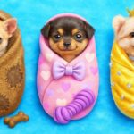 富豪ペット vs 金欠ペットの秘密の空間！ 🐶✨ 乱雑から愛らしさへ