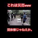 これは災厄www#バズりたい #マサイ #フィッシャーズ切り抜き