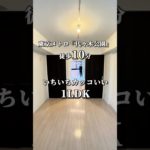 渋谷一カッコいい1LDK #東京ペット可賃貸 #東京ペット可物件 #ペット可 #ペット共生マンション #ルームツアー #渋谷区賃貸#代々木公園駅