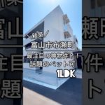 新築！最注目の神物件？！話題のペット可1LDK#tumugu不動産 #ルームツアー #shorts