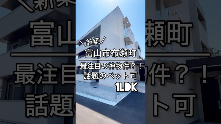 新築！最注目の神物件？！話題のペット可1LDK#tumugu不動産 #ルームツアー #shorts