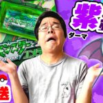 【縛り】紫ポケモンだけで四天王を倒せるのか？【ポケットモンスター エメラルド】#2