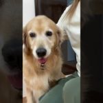 2025/09/06 ペットホテルの動画です🐶