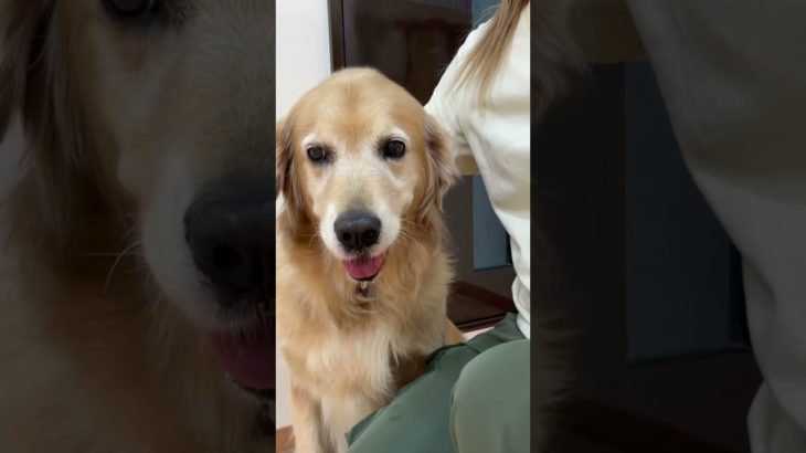 2025/09/06 ペットホテルの動画です🐶