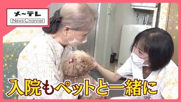 「ペットと一緒に入院できる」全国初の取り組み　背景に患者の切実な悩み　岐阜・笠松町の松波総合病院 (25/09/10 15:35)